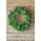 36" Bristle Pine Wreath with Natural Touch Evergreens Full-Size Realistic Holiday Greenery